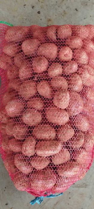 cartofi consum alb/rosu