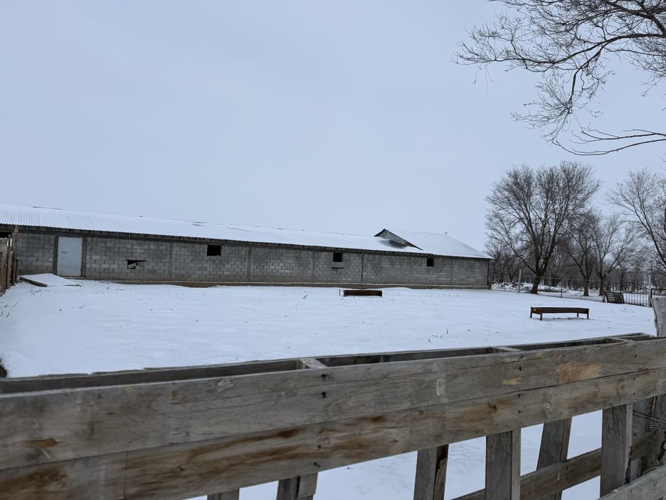 Продам ферму (фазенду)