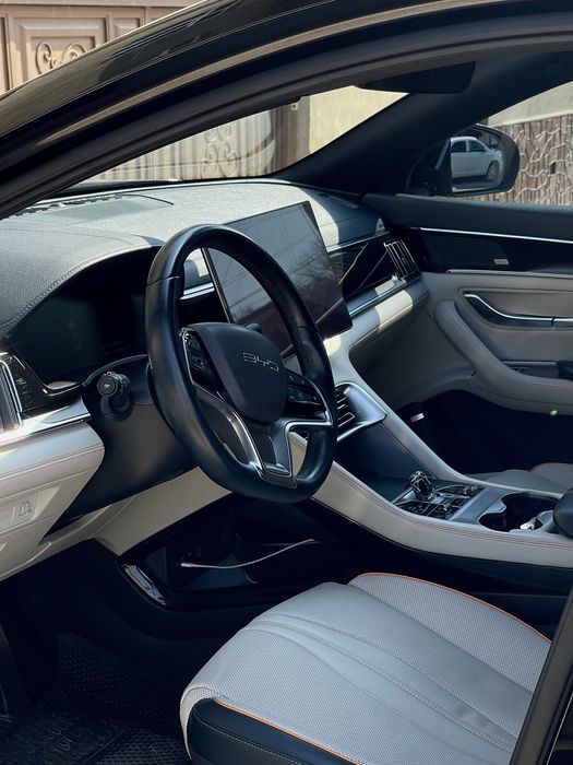 BVD chempion 605 tali toza