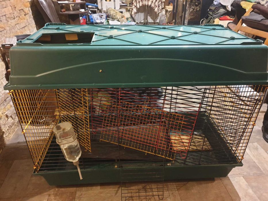 Cusca animale de companie