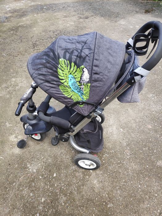 KIKKA BOO Триколка 2в1 VETTA parrots air