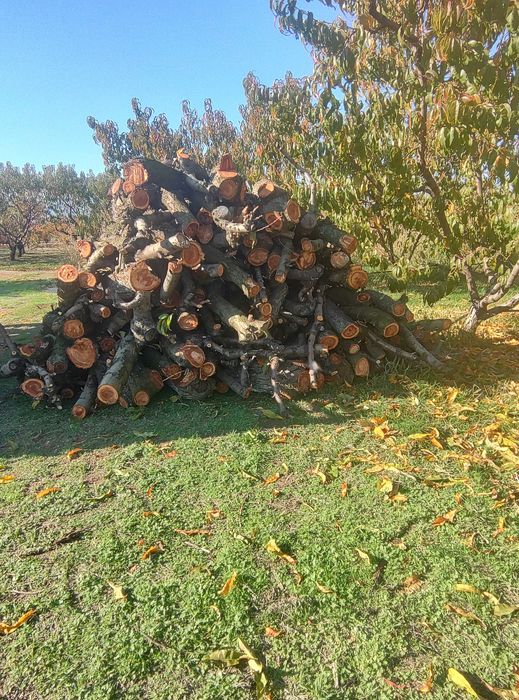 Дърва от Прасковки