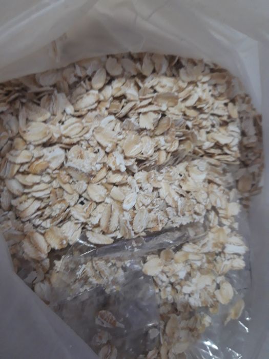 300 тенгеден Геркулес Горох Перловка Манка