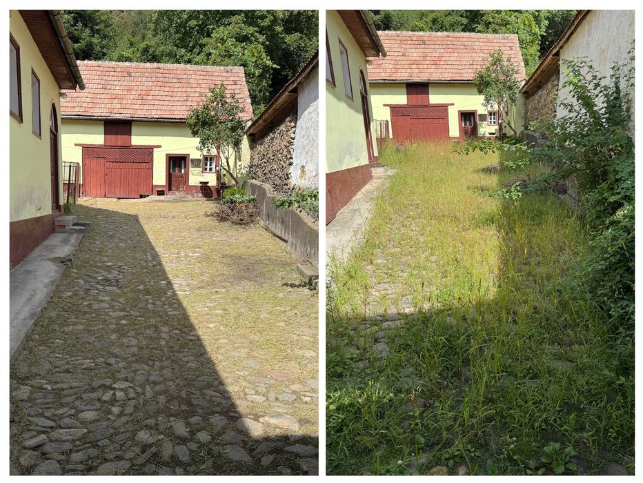 Gradinarit, toaletare copaci, tocat crengi, mentenanta spatii verzi