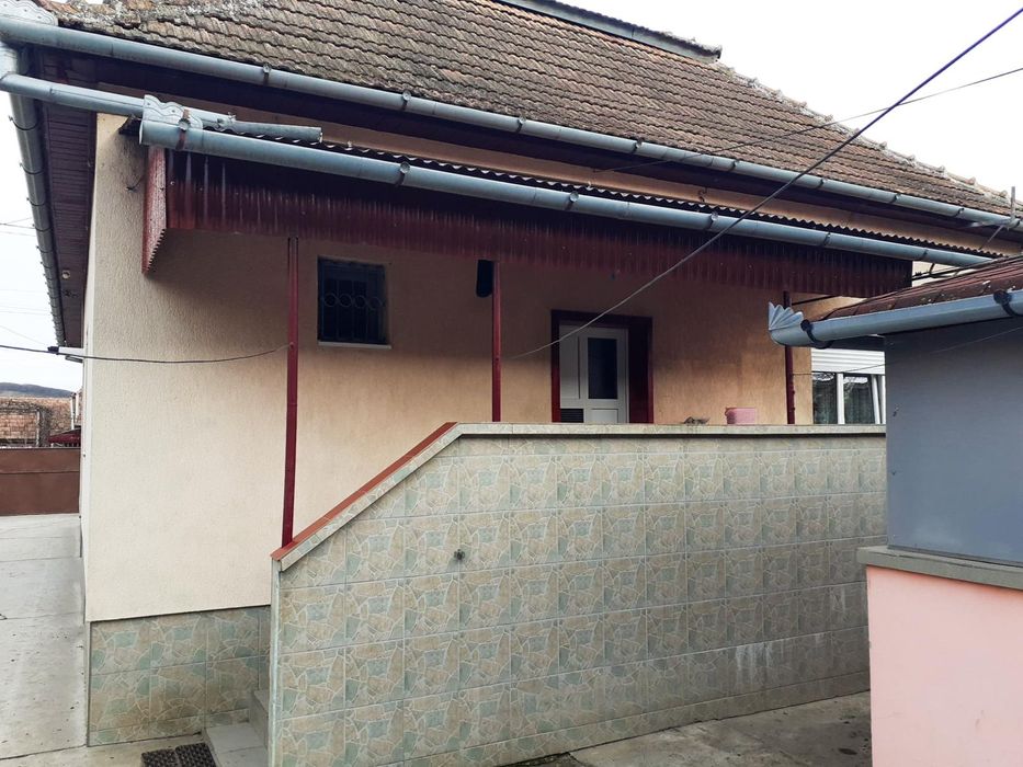 Casa cu grădina de vanzare