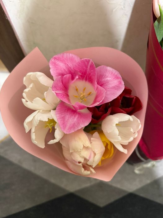 Свежие тюльпаны разные