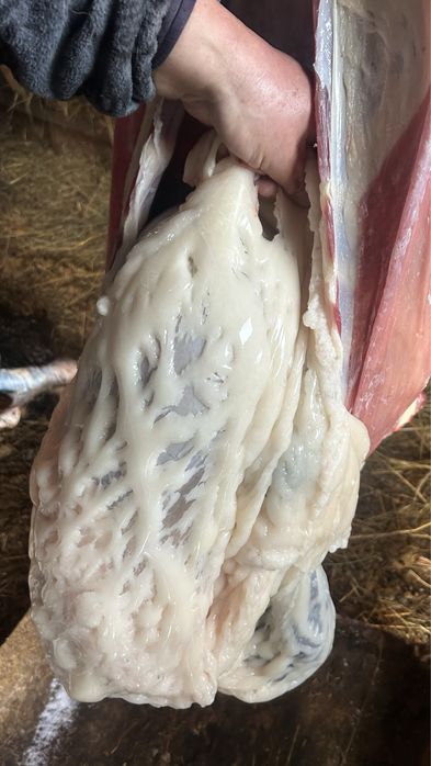 Продам мясо баранины