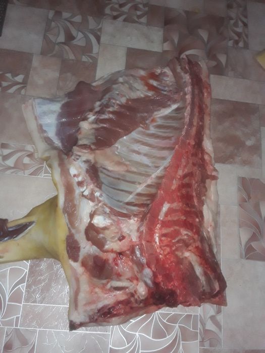 Мясо свинина 1900