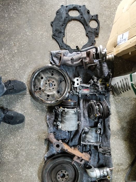 Делика на разбор