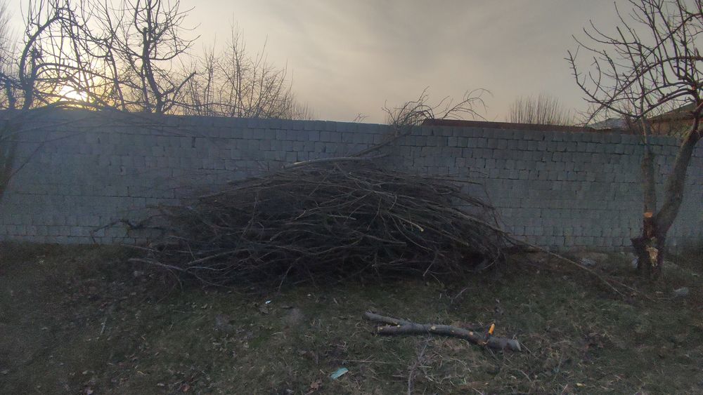 Срочно о́тин сотилади