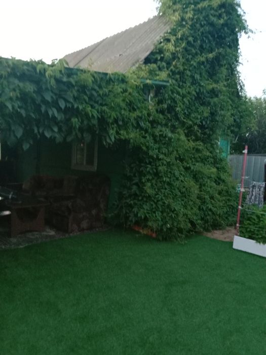 Продам дачу 1дачная общество Борки