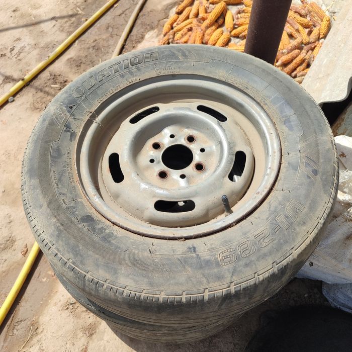 Жигулини дискаси