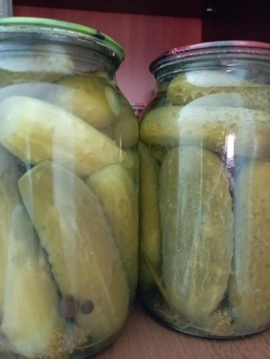 Продам огурчики соленые дачные