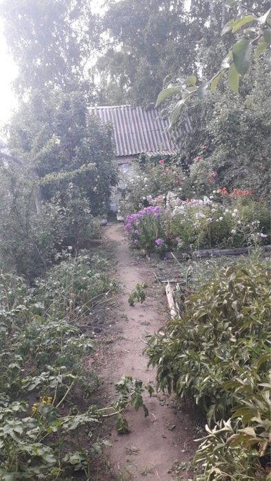 дача со мелиоратор