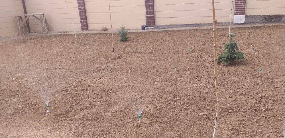 Газон- автополив, полив газон посатка .