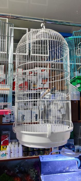 Сетка для папугаев