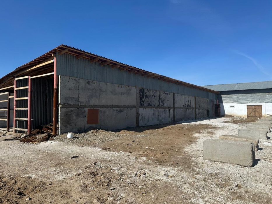 База земля 2,9 ГА дом