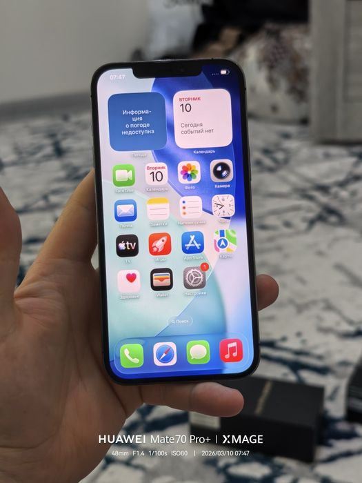 iPhone 12 pro max idial.