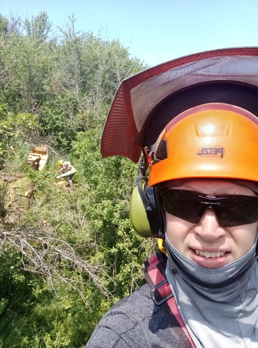 Спил аварийных деревьев, обрезка