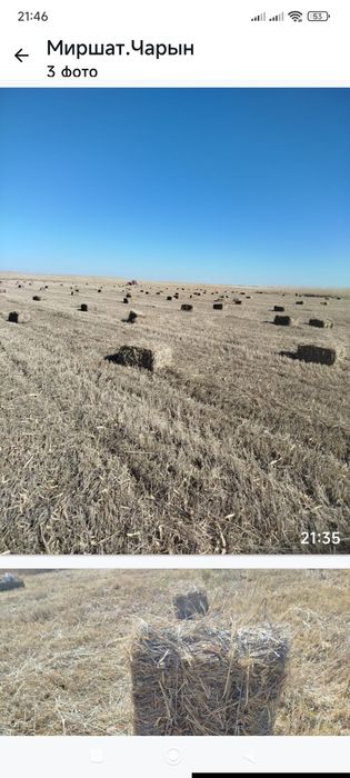 Продам сено разнотрав