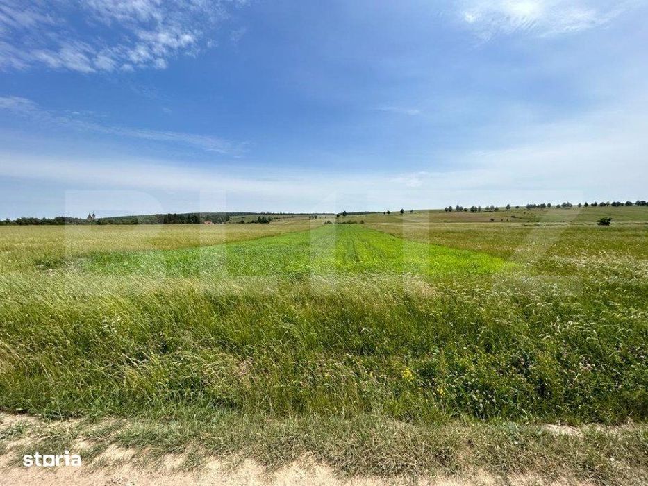 Teren cu suprafata de 8000mp ,situat in Mitocu Dragomirnei,zona Manast