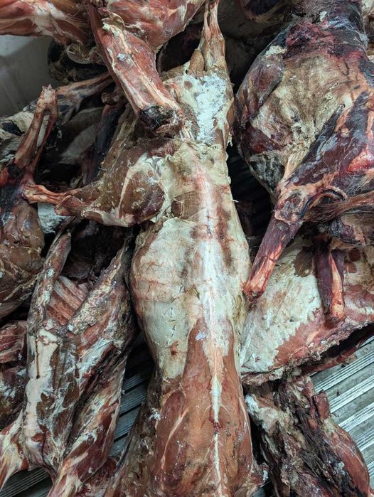 Мясо сайги, Бокен ети