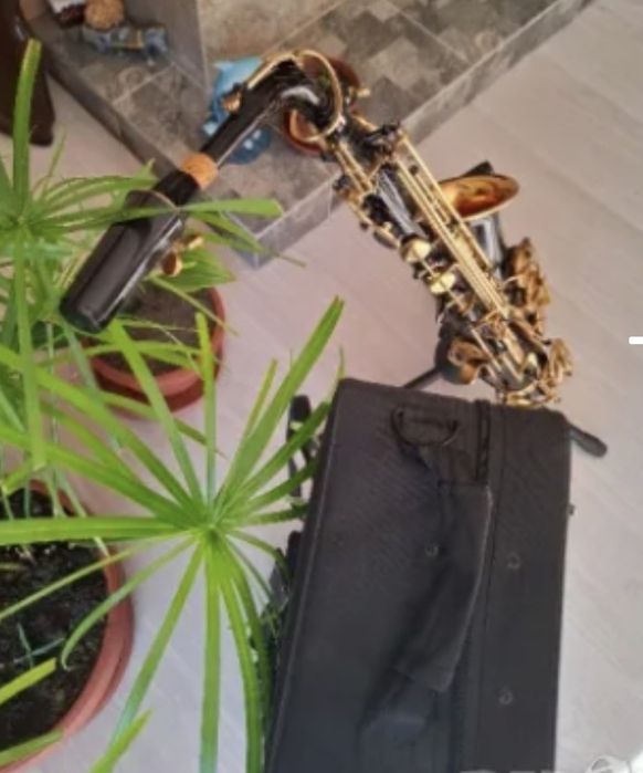 "Алт саксофон"...