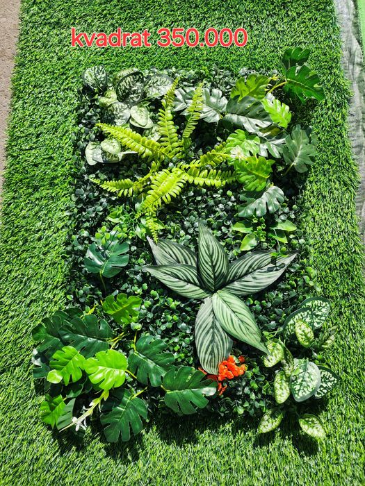 Dekarativne har xil  risunkadagi gullar