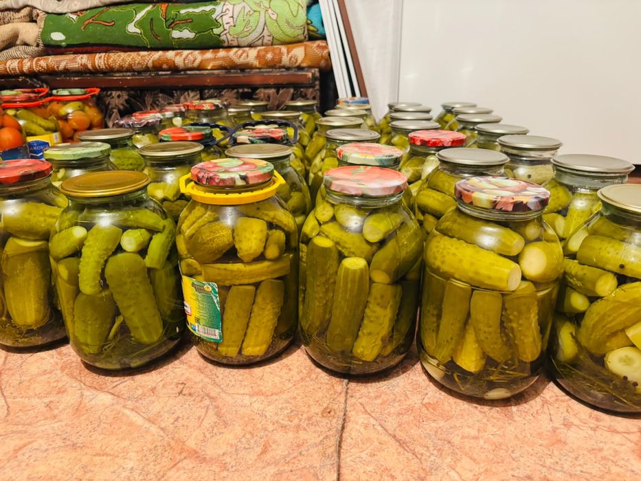 Домашние соленые огурцы