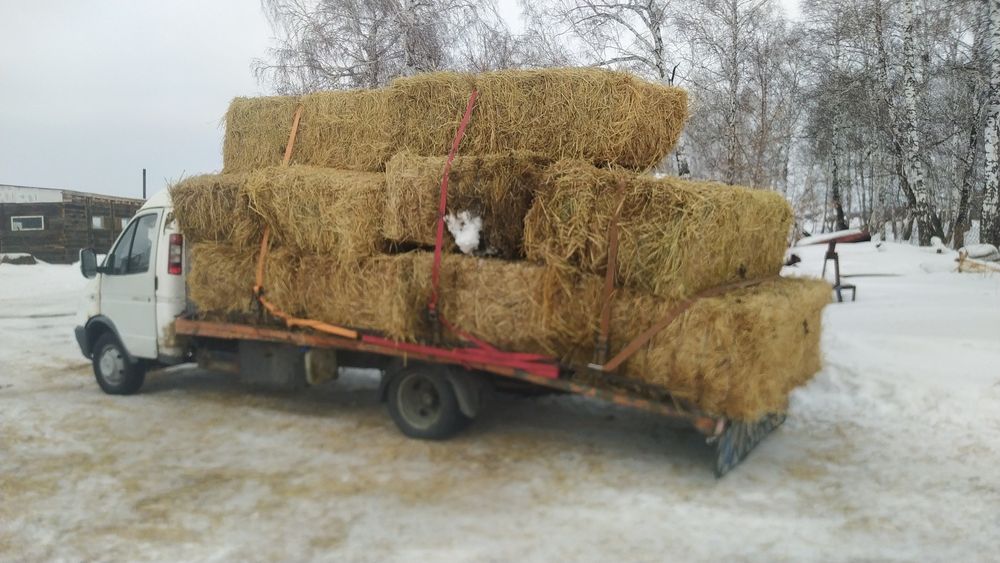 Услуги эвакуатора. Эвакуатор