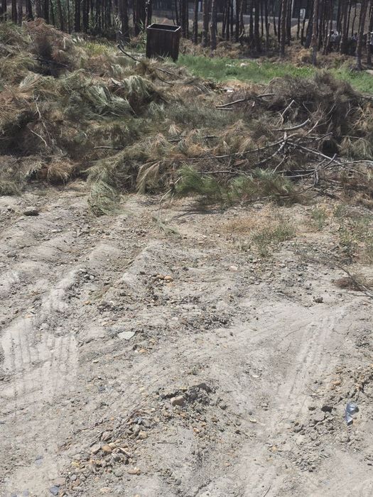 Utin sotiladi 1 million