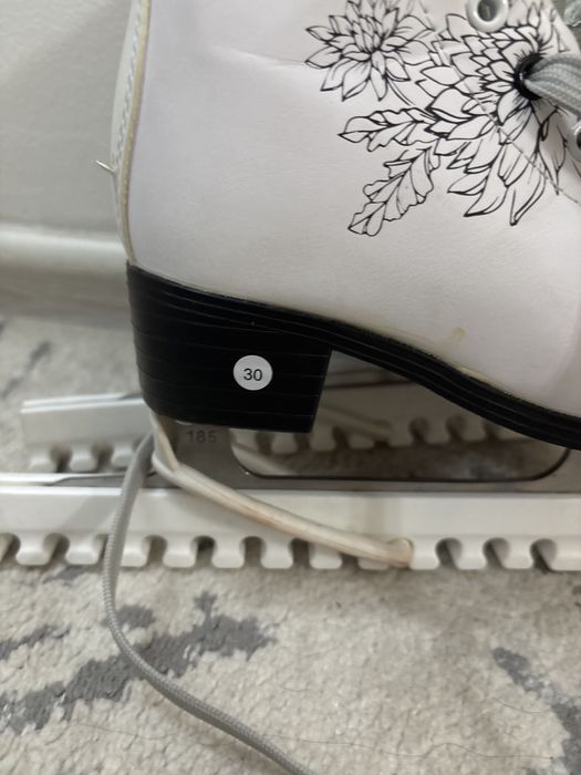 Коньки sofia nordway