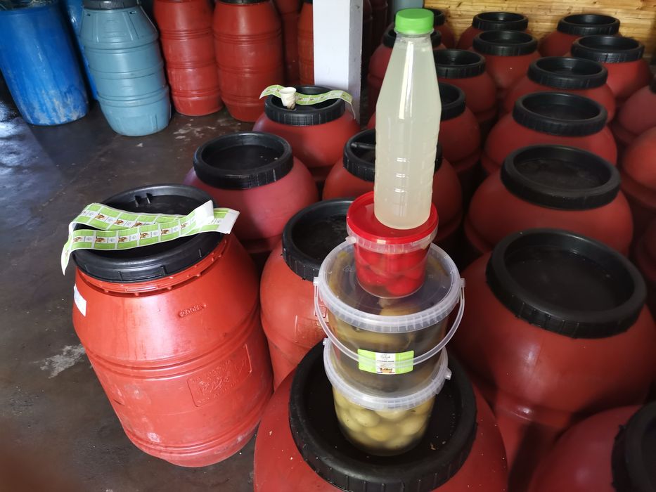 Varza Murata cal.1 doc de transport si vanzare