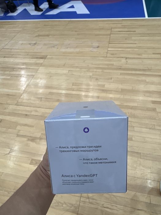 Алиса станция мини 3