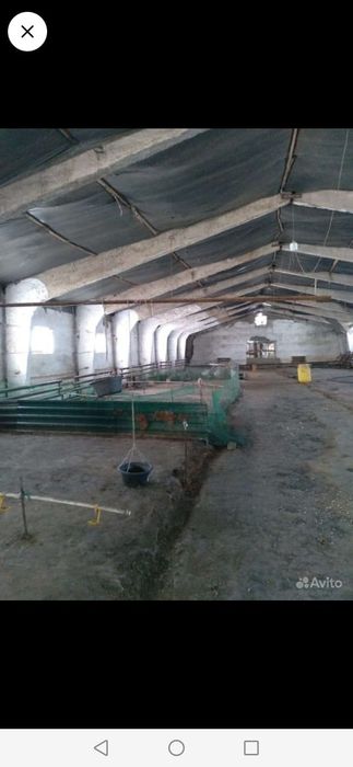 Продам базу под животноводство