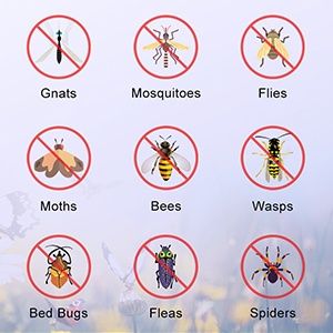 Пест киллер мухобойка Pest kill доставка бор