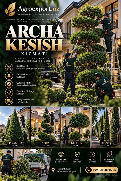 Archa kesish Bogbon