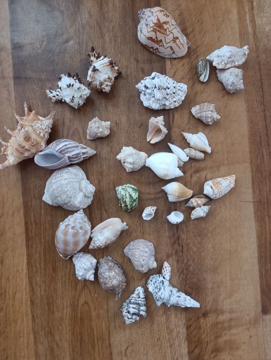 все что на фото за 14.000