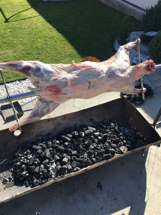 Protap rotisor grătar