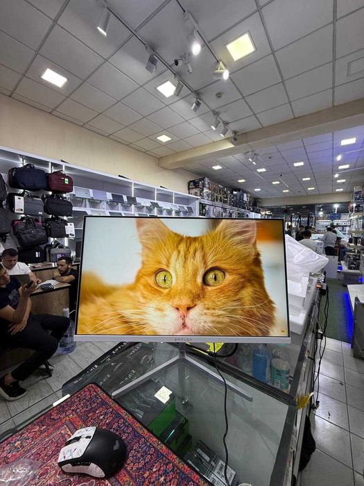 |новый|24ZW3000-24" Flat monitor (VGA+HDMI+DC) IPS FLAT 100hz White