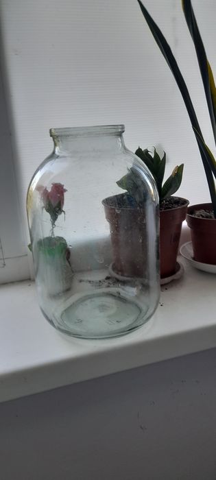 Банки продам чистые