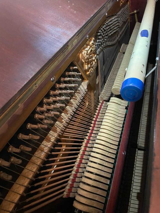 Pianina L Schmidt