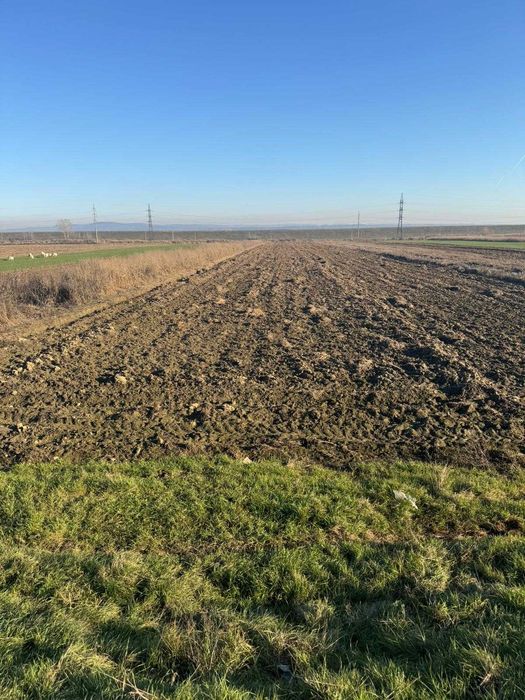 Teren de vânzare 5000 mp, Valea Mare, Băbeni DN64