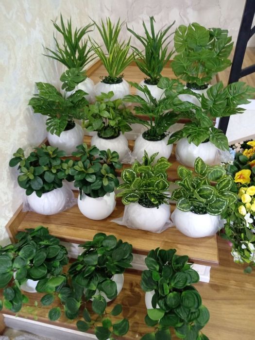 Суний гуллар ва дарахтлар Искусственные цветы и деревья в причислены