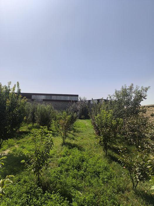 Участка 13 сотик