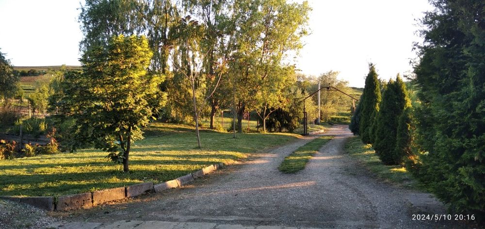 Vand casa cu 4,80 ha in Viișoara