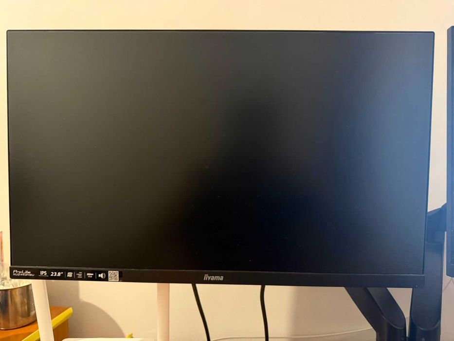 Монитор 23,8" iiyama ProLite XU2493HSU