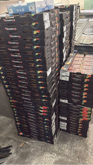 Клубника Египит