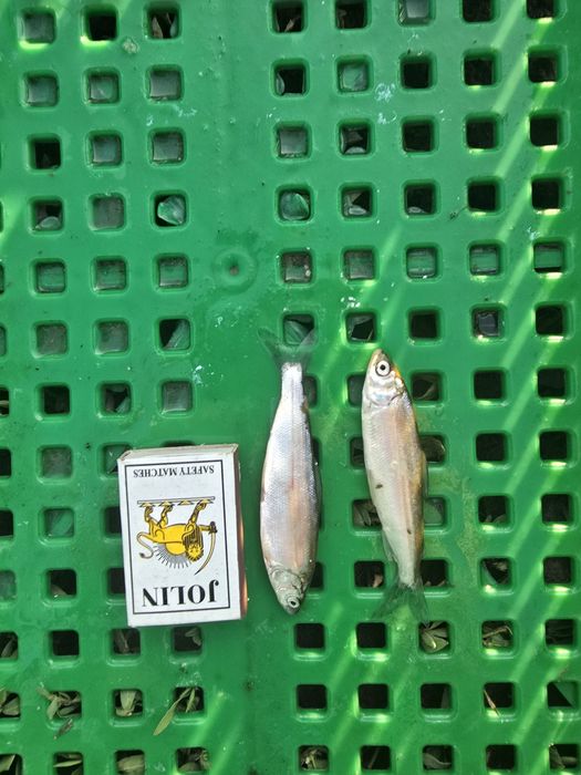 Продаётся ТОО с озером ОТРХ!!!