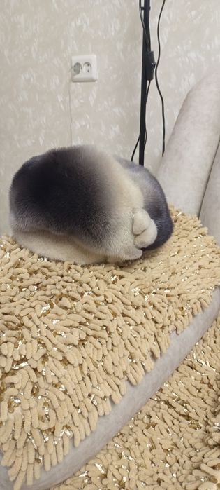 Берет норковый красивый